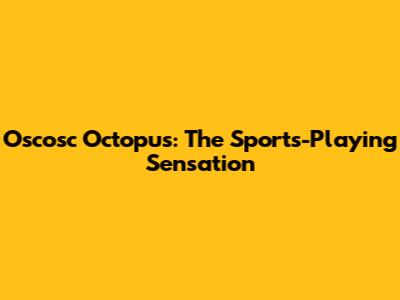 Oscosc Octopus: The Sports-Playing Sensation